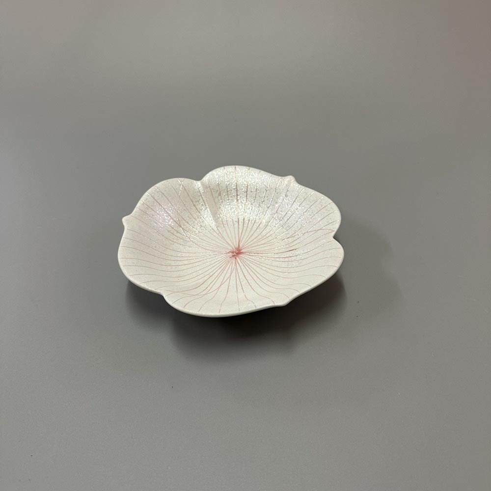 画像無し